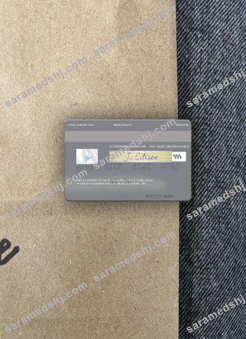 USA Deutsche Bank visa card photolook back